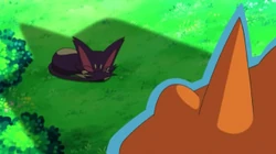EP790 Purrloin durmiendo
