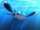 P18 Kyogre (2).png