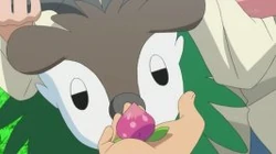 EP867 Skiddo enfermo