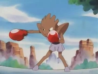 EP029 Hitmonchan