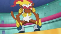 Imagen de Infernape