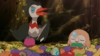 Rowlet durmiéndose
