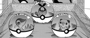 Tep, Snivy y Oshawott en el regalo de Black.