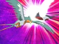 Swellow vs. Swellow