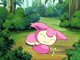 Imagen de Skitty