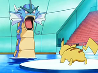 Gyarados vs. Pikachu.