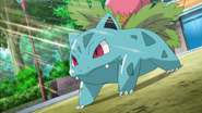 EP893 Ivysaur de Xana