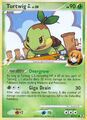 Turtwig de Gardenia