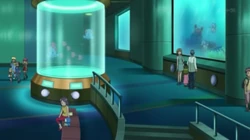 EP826 Pokémon acuáticos