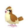 Pidgey
