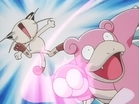 Slowbro del profesor Westwood V usando megapuño contra el Meowth del Team/Equipo Rocket.