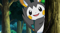 Emolga en estado salvaje.