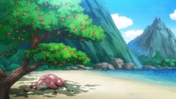 EVOL08 Slowpoke