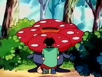 EP112 Tracey dibujando a Vileplume