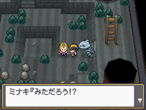 Guía de Pokémon Oro HeartGold y Plata SoulSilver