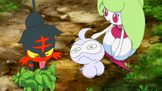 Litten y Castform comiendo hierba revivir.