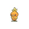 Torchic