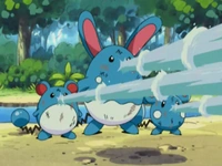 Un Azurill, un Marill y un Azumarill usando pistola agua.
