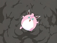 EP458 Wigglytuff asustada (2)