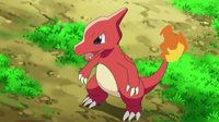 EP778 Charmeleon de Ash