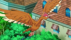 EP887 Fearow salvaje