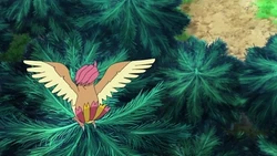 EP1095 Pidgeotto salvaje