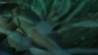 Kingdra usando remolino mientras bosteza.