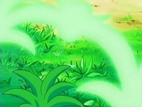 EP506 Hierba lazo anuda las hierbas.png (46 kB) ...las cuales se entrelazan, formando un nudo casi invisible en dicho campo...