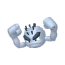Geodude de Alola