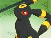 EP228 Umbreon