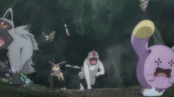 GEN08 Pokémon del bosque (2)