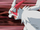 EP520 Zangoose salvaje (3).png