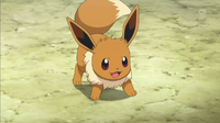 EP893 Eevee