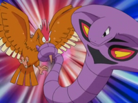 Arbok de Jessie usando constricción contra el Fearow de Rico.