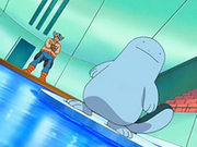 EP552 Mananti con Quagsire