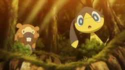 EP920 Bidoof y Helioptile