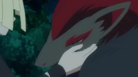 Zoroark.