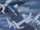 GEN11 Dialga.png