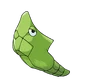 Metapod