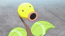 Imagen de Bellsprout