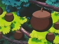 Varios bonguris negros