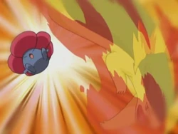EP331 Typhlosion vs Vileplume