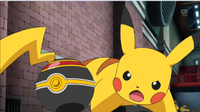 EP882 Lujo Ball.png (101 kB) Pikachu junto a una Lujo Ball.