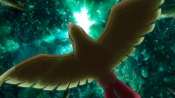 EP1095 Pidgeot salvaje