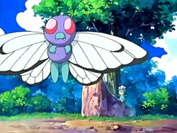 EP465 Butterfree