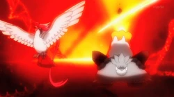 SME02 Mega-Pidgeot y Mega-Camerupt