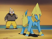Verde🌱 (🍃) on X: [JUEGO] 🌀¿Qué 6 Pokémon de Hoenn escogeríais si  fuerais líder de tipo psíquico?🌀 Teniendo en cuenta que este es un  gimnasio de combates dobles como los combinariaís? 👀