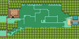 Oro HeartGold y Plata SoulSilver