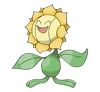Sunflora
