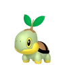 Turtwig